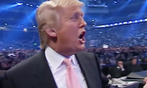 What Happens When You Pick a Fight with Trump?