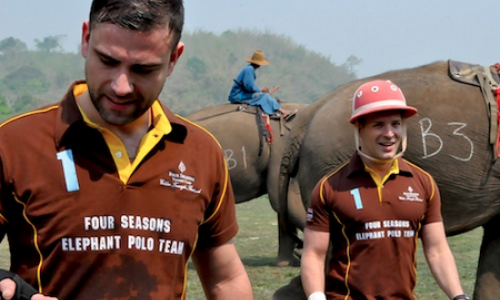 Carlos Melia plays Elephant Polo!