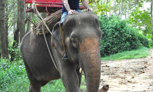 Saiyok Elephant Park in Thailand