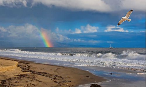 Gay Santa Barbara: The Inside Scoop on California’s Off the Beaten Path Wine Country