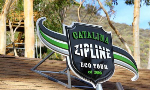 How To Float at 45 mph - Ziplining on Catalina
