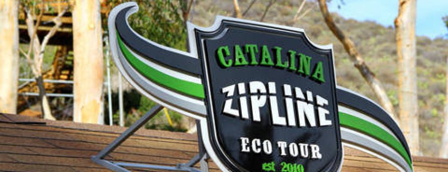 How To Float at 45 mph - Ziplining on Catalina Main Image