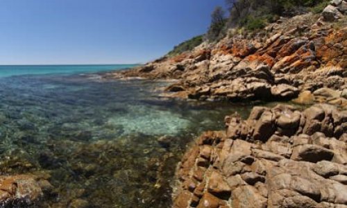 Anger swells over bid to gay-proof Australian beach