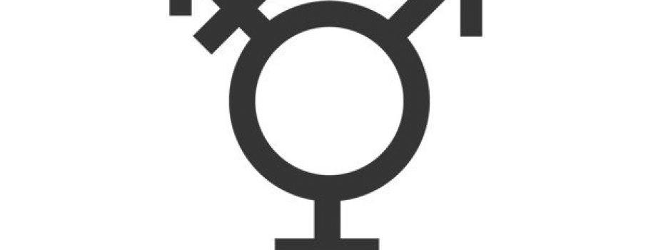 UK Transgender Equality Plan for Action Main Image